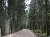 Chianti-1 2016 - 099.jpg